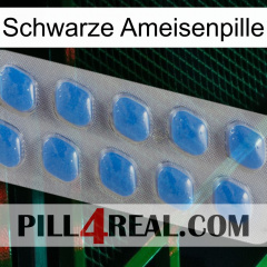 Black Ant Pill 22